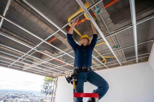 Best Commercial Plumbing Services  in Luverne, AL