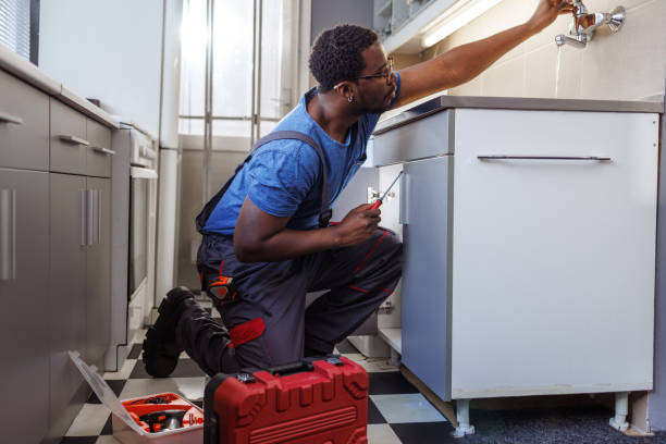 Best Local Plumber Services  in Luverne, AL